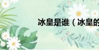 冰皇是誰(冰皇的簡介)