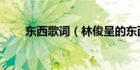 東西歌詞(林俊呈的東西完整歌詞)