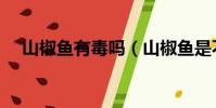 山椒魚有毒嗎(山椒魚是不是有毒的呢)