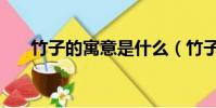 竹子的寓意是什么(竹子的寓意介紹)
