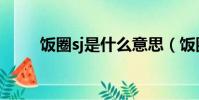 飯圈sj是什么意思(飯圈sj的意思)