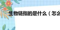 生物鏈指的是什么(怎么理解生物鏈)
