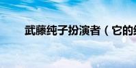 武藤純子扮演者(它的結局是什么)