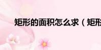 矩形的面積怎么求(矩形的面積公式)