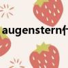 augenstern什么意思（augenstern的含義）