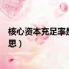核心資本充足率是什么意思（核心資本充足率具體是什么意思）