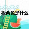 板栗色是什么顏色（栗子色發色是什么顏色）