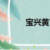 寶興黃芪（關于寶興黃芪介紹）