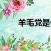 羊毛黨是什么意思（什么是羊毛黨）