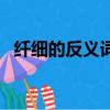 纖細的反義詞（詞語纖細的反義詞是什么）