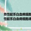 急性髓系白血病細胞通過自凈化體系外分泌miR-34抵抗衰老（關于急性髓系白血病細胞通過自凈化體系外分泌miR-34抵抗衰老介紹）