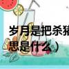 歲月是把殺豬刀啥意思（歲月是把殺豬刀的意思是什么）