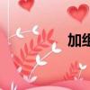 加組詞（加字怎么組詞）