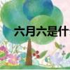 六月六是什么日子（六月六的由來介紹）