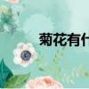菊花有什么特點（菊花特點簡述）