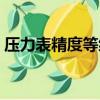 壓力表精度等級（壓力表的精度有哪些等級）