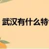 武漢有什么特色美食（武漢的特色美食介紹）