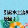 引起水土流失的原因是什么（引起水土流失的原因）