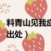 料青山見我應如是意思（料青山見我應如是的出處）