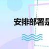 安排部署是什么意思（安排部署解釋）