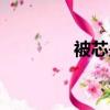 被芯是什么（什么是被芯）