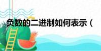 負數的二進制如何表示( 怎么進行表示)