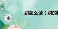 肼怎么讀(肼的讀音)
