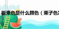 板栗色是什么顏色(栗子色發色是什么顏色)