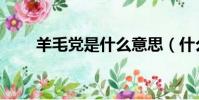 羊毛黨是什么意思(什么是羊毛黨)