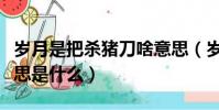 歲月是把殺豬刀啥意思(歲月是把殺豬刀的意思是什么)