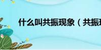 什么叫共振現象(共振現象的解釋)