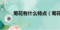 菊花有什么特點(菊花特點簡述)