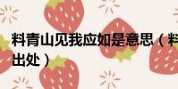 料青山見我應如是意思(料青山見我應如是的出處)