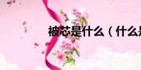 被芯是什么(什么是被芯)