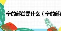辛的部首是什么(辛的部首應該是什么)