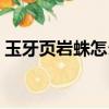 玉牙頁巖蛛怎么上去（玉牙頁巖蛛如何上去）