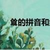 聳的拼音和組詞（漢字聳的拼音和組詞）
