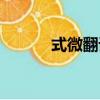 式微翻譯（式微的原文是什么）