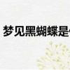 夢見黑蝴蝶是什么意思（夢見黑蝴蝶的解釋）