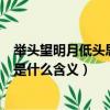 舉頭望明月低頭思故鄉具體的意思（舉頭望明月低頭思故鄉是什么含義）