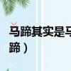 馬蹄其實是馬的什么部位（哪個部位是馬的馬蹄）
