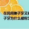 在民間姜子牙又被稱為姜太公的原因比較主流的說法是（姜子牙為什么被稱為姜太公）
