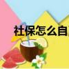 社保怎么自己繳納（社保如何自己繳納）