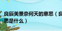 良辰美景奈何天的意思(良辰美景奈何天的意思是什么)