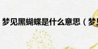 夢見黑蝴蝶是什么意思(夢見黑蝴蝶的解釋)