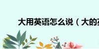 大用英語怎么說(大的英語是什么)