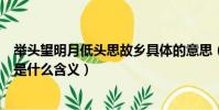 舉頭望明月低頭思故鄉具體的意思(舉頭望明月低頭思故鄉是什么含義)