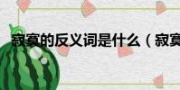寂寞的反義詞是什么(寂寞的釋義及例句)