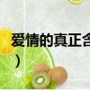 愛情的真正含義是什么（愛情的真正含義解說）