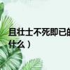 且壯士不死即已的且什么意思（且壯士不死即已的且意思是什么）